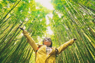 Sustainable,Eco-friendly,Travel,Tourist,Hiker,Walking,In,Natural,Bamboo,Forest