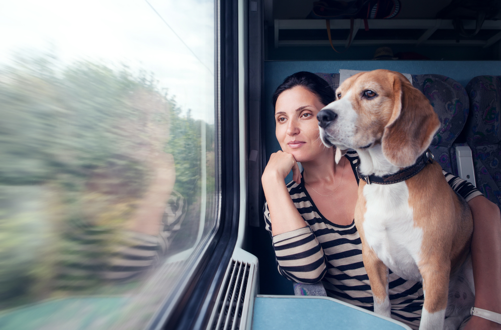Woman,With,His,Dog,Travel,In,Railway,Wagon