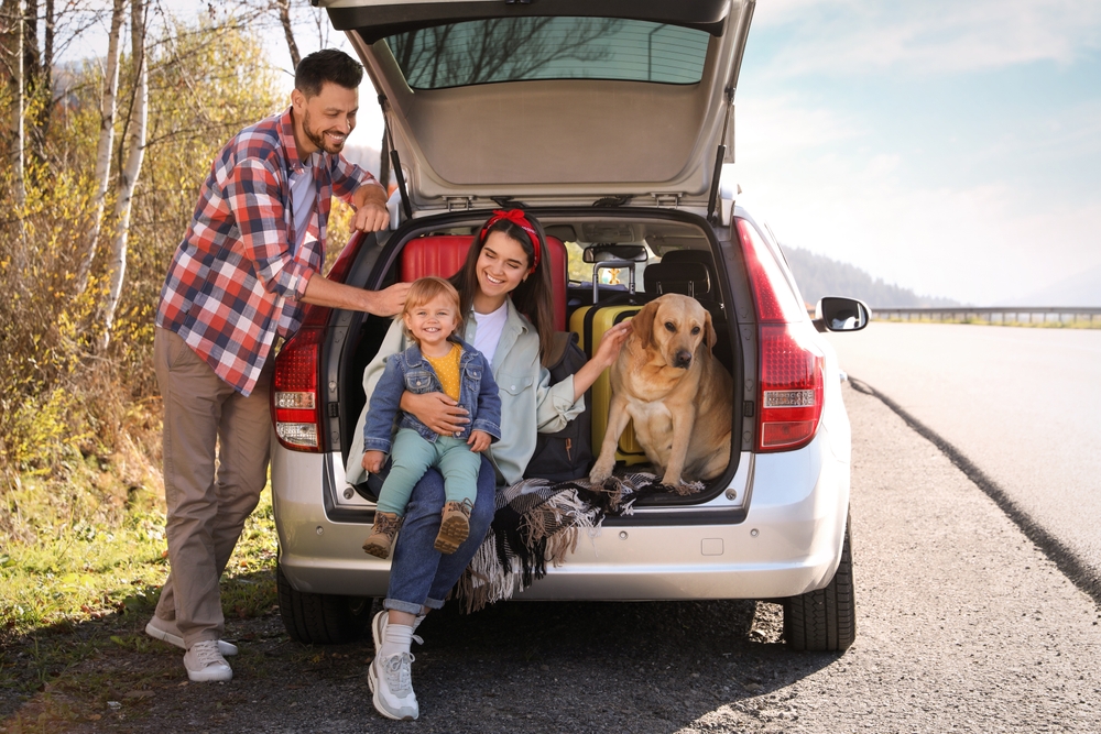 Parents,,Their,Daughter,And,Dog,Sitting,In,Car,Trunk,Near