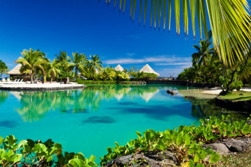 Tropical,Resort,With,A,Green,Lagoon,And,Many,Palm,Trees