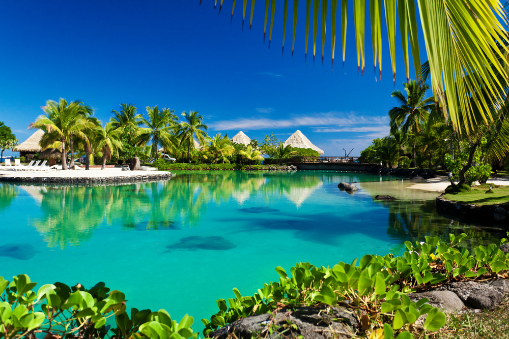Tropical,Resort,With,A,Green,Lagoon,And,Many,Palm,Trees