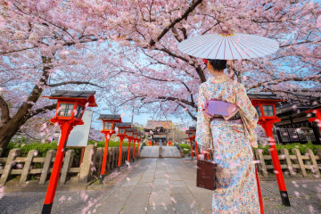 Young,Japanese,Woman,In,Traditional,Kimono,Dress,At,Rokusonno,Shrine
