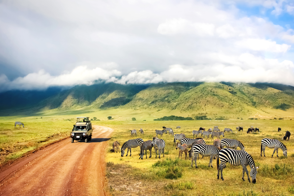 Wild,Nature,Of,Africa.,Zebras,Against,Mountains,And,Clouds.,Safari
