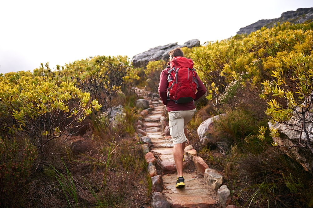 Hiking,,Nature,Trail,And,Man,Back,With,Backpack,,Travel,And