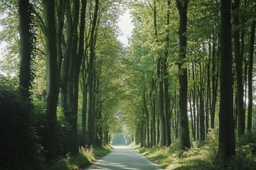 5 eco-friendly travel tips to explore