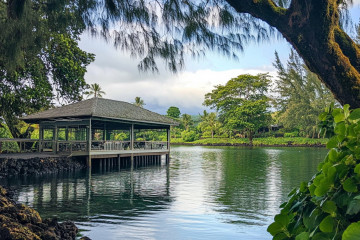 5 Tips for Your First Trip to Hilo, Hawai Island