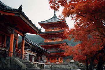 The world’s 10 most desirable countries to visit, according to travellers