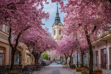 5 budget-friendly European cities to visit in 2026