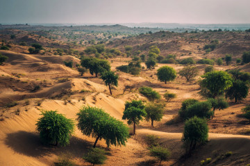 5 Desert Regions That Surprisingly Look Green