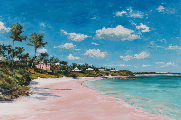 How The Pink Sand Beach Of Harbour Island Gets Its Unique Colour