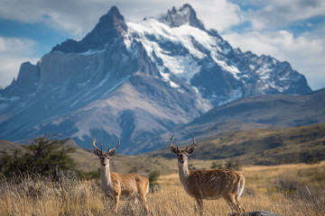 5 unique national parks in South America where waterfalls, wildlife and wilderness come alive